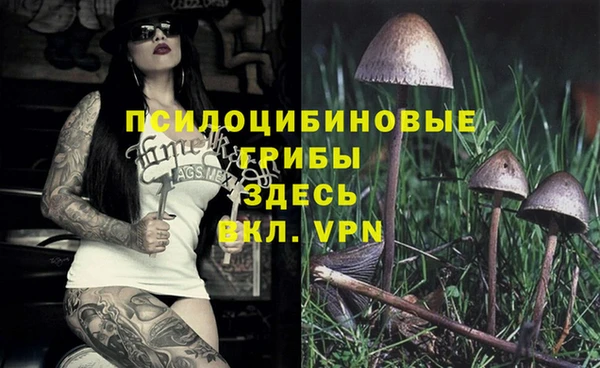 ALPHA-PVP Нязепетровск