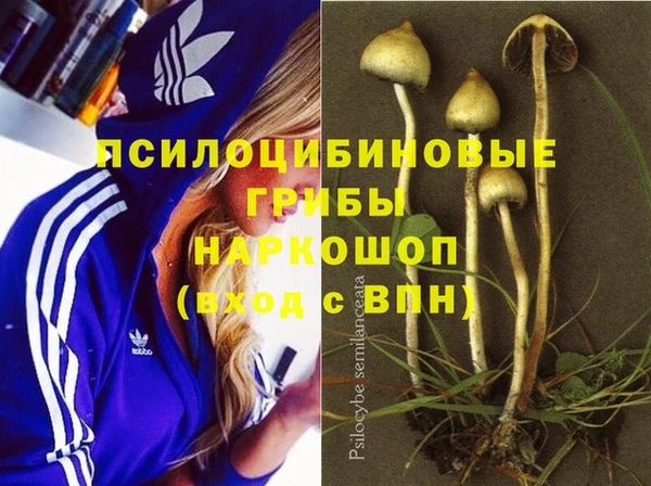 ALPHA-PVP Нязепетровск
