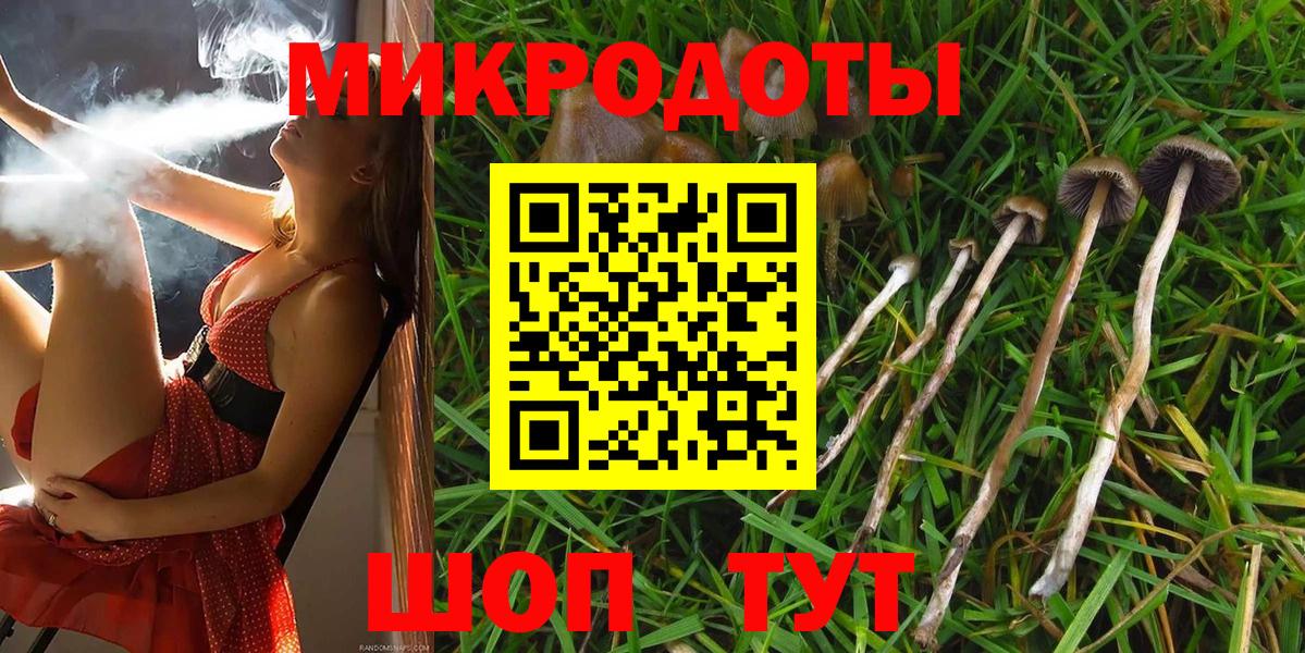 Галлюциногенные грибы Psilocybine cubensis Хабаровск