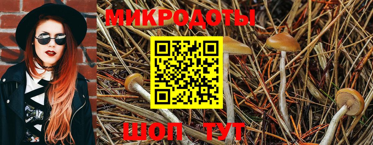 Хабаровск  Галлюциногенные грибы ЛСД  Вход с VPN 